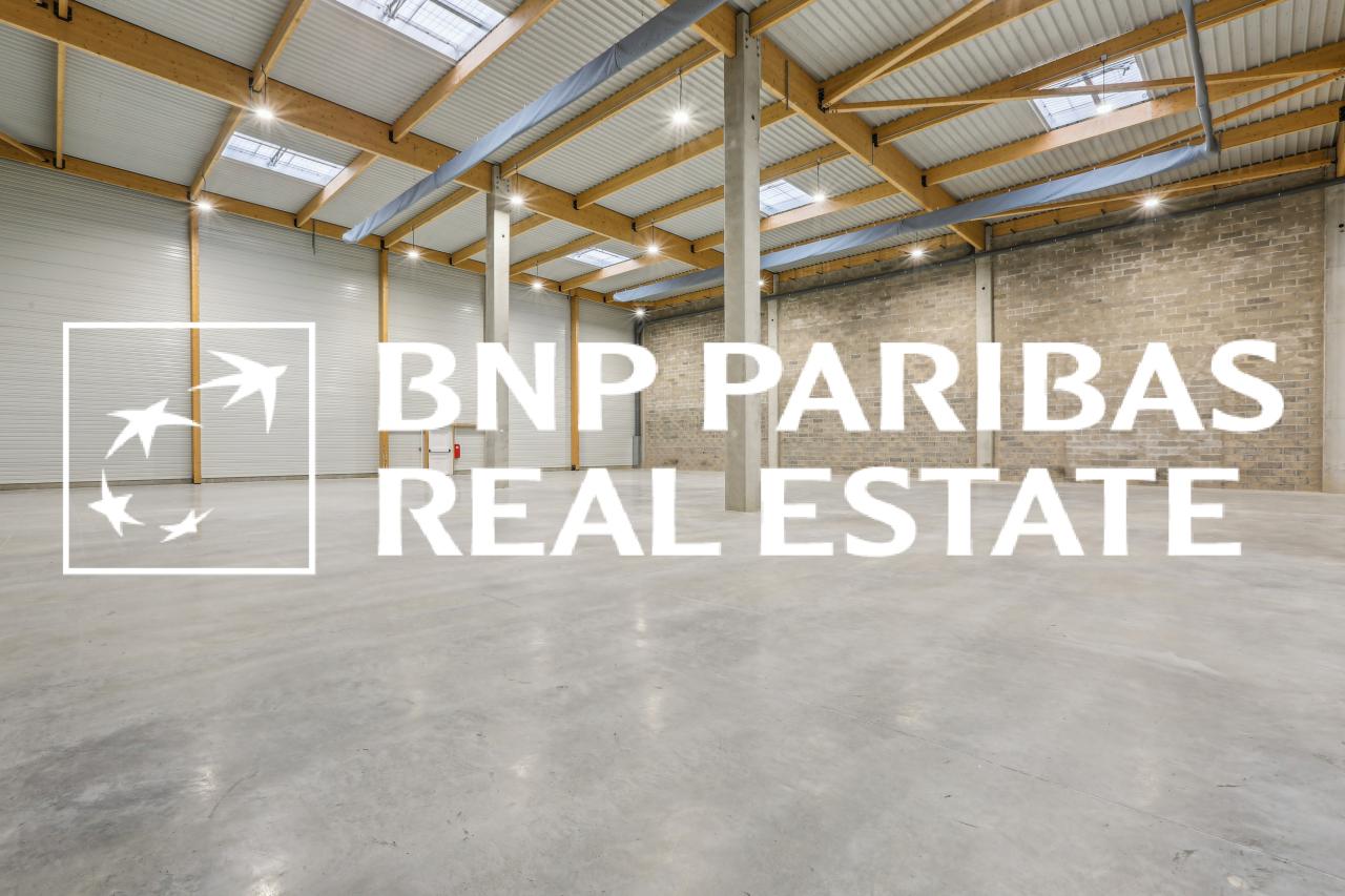 Local d'activité Moissy-Cramayel 2129m² Location local d'activité Moissy-Cramayel Seine-et-Marne OLACT2201095 5
